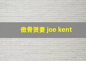 傲骨贤妻 joe kent